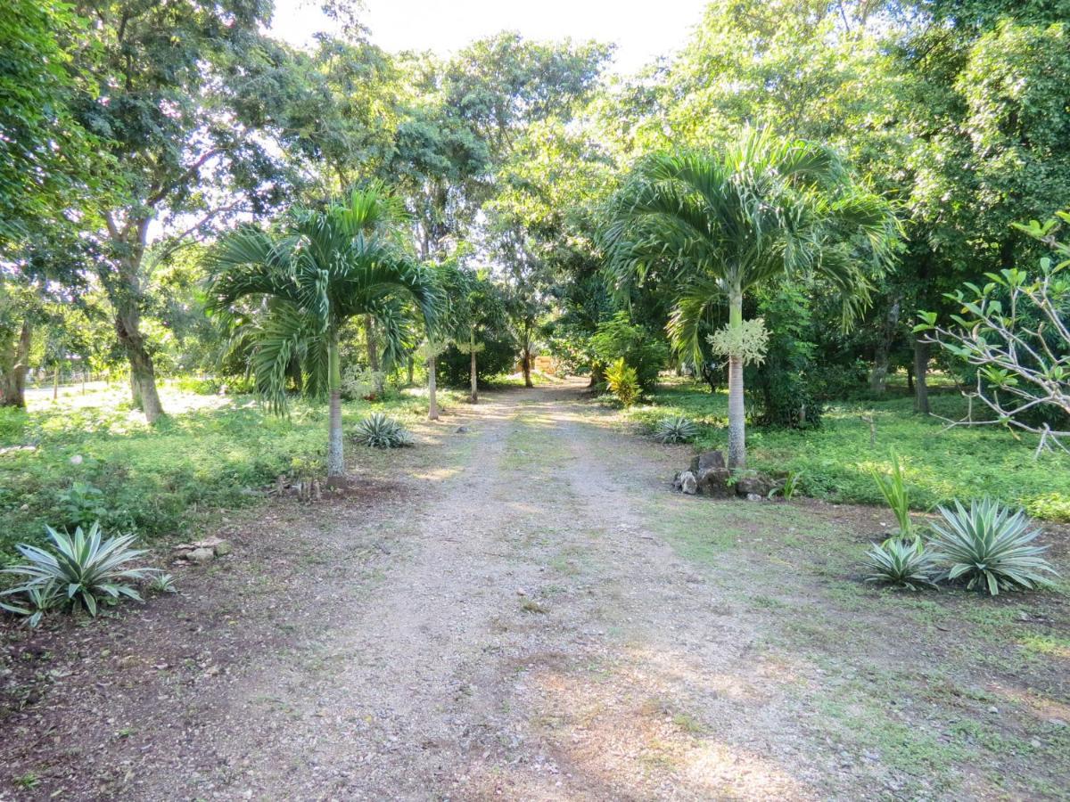 Cabanas Calakmul Villa Conhuas Exterior photo