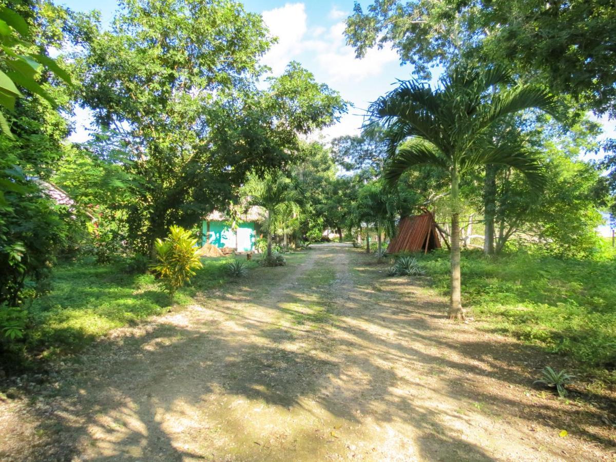 Cabanas Calakmul Villa Conhuas Exterior photo